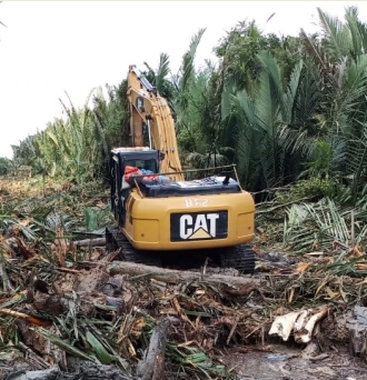 Excavator CAT Membuka Lahan Sawah Oleh Upja Zainudin